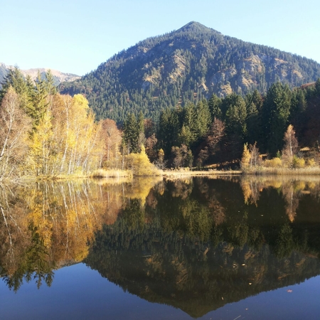 Hundetreffen 2016 im Allgäu (14)